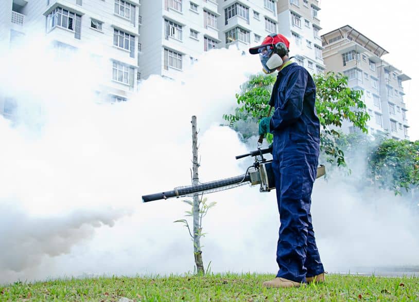 pest control singapore