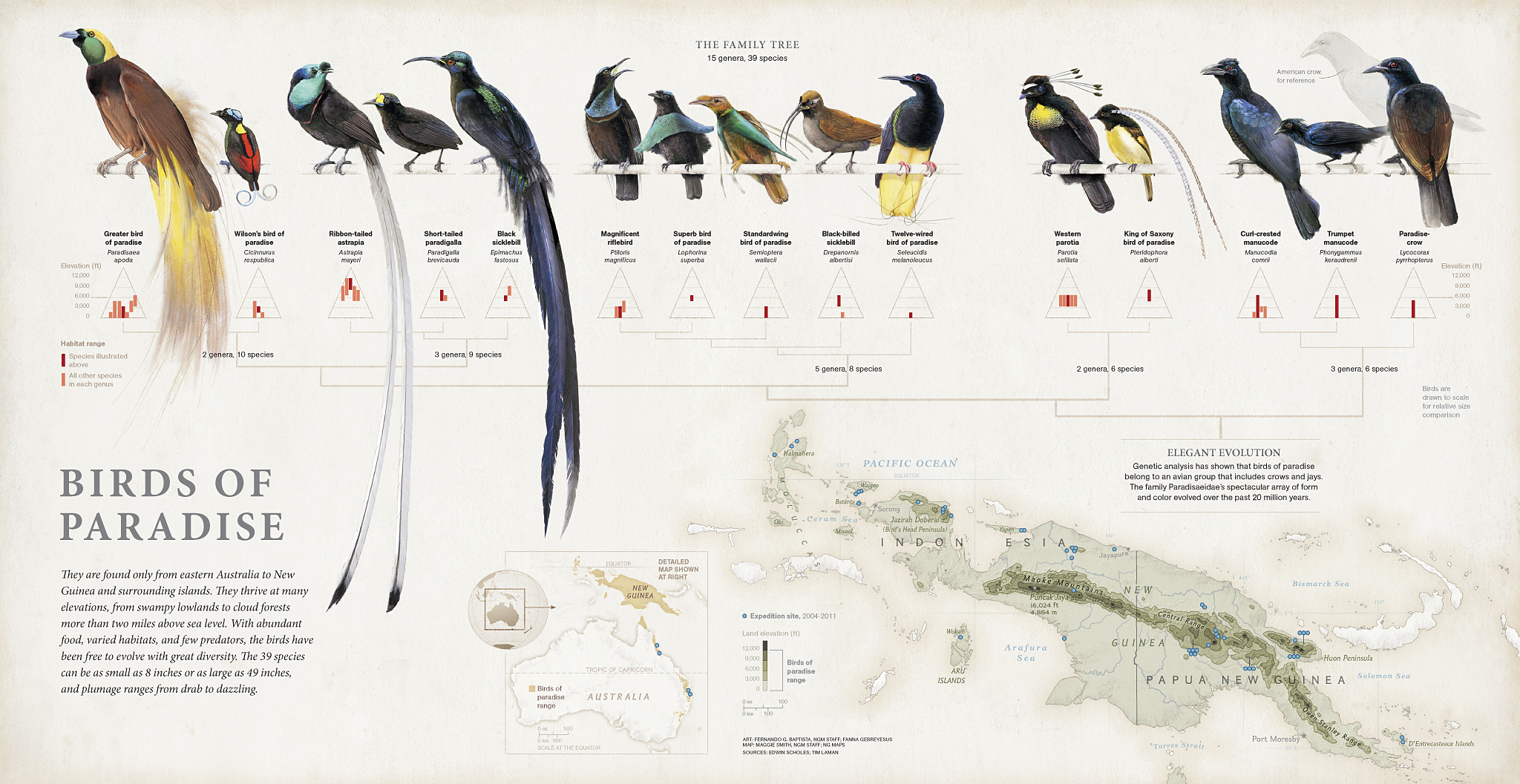 bird paradise map