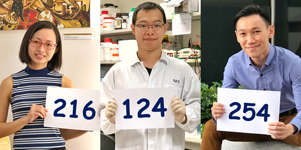 highest psle score ever