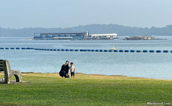 pasir ris beach