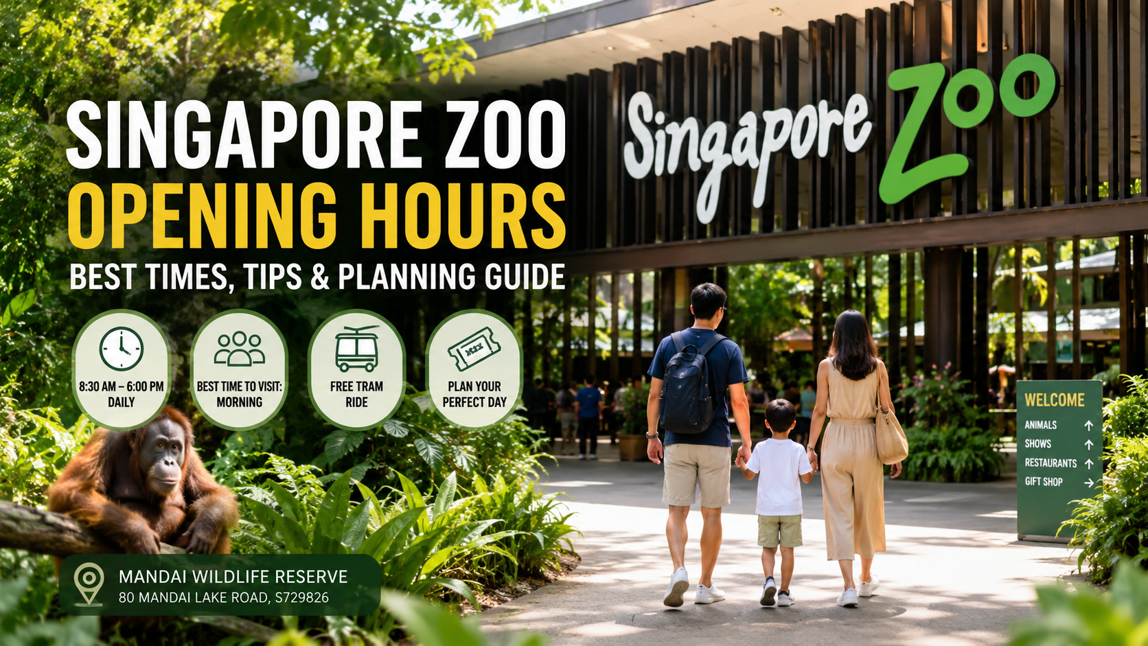 singapore zoo opening hours
