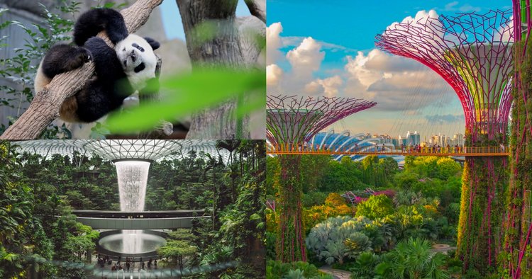 what to do in singapore
